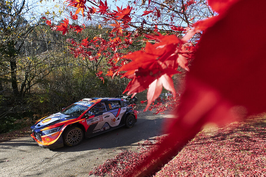 Hyundai / Thierry Neuville, Champion du monde des Rallyes 2024